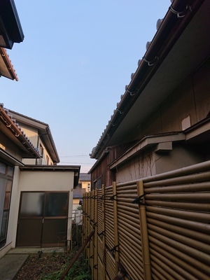 伐採アフター0325_コピー