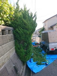 生垣ビフォー2_コピー