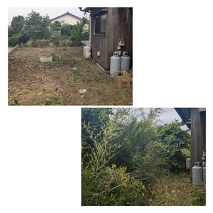 Picsart_24-06-26_00-28-01-111_コピー