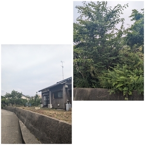 Polish_20240711_203042814_コピー